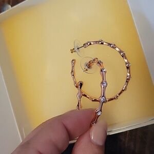 Premier Designs rose gold hoops